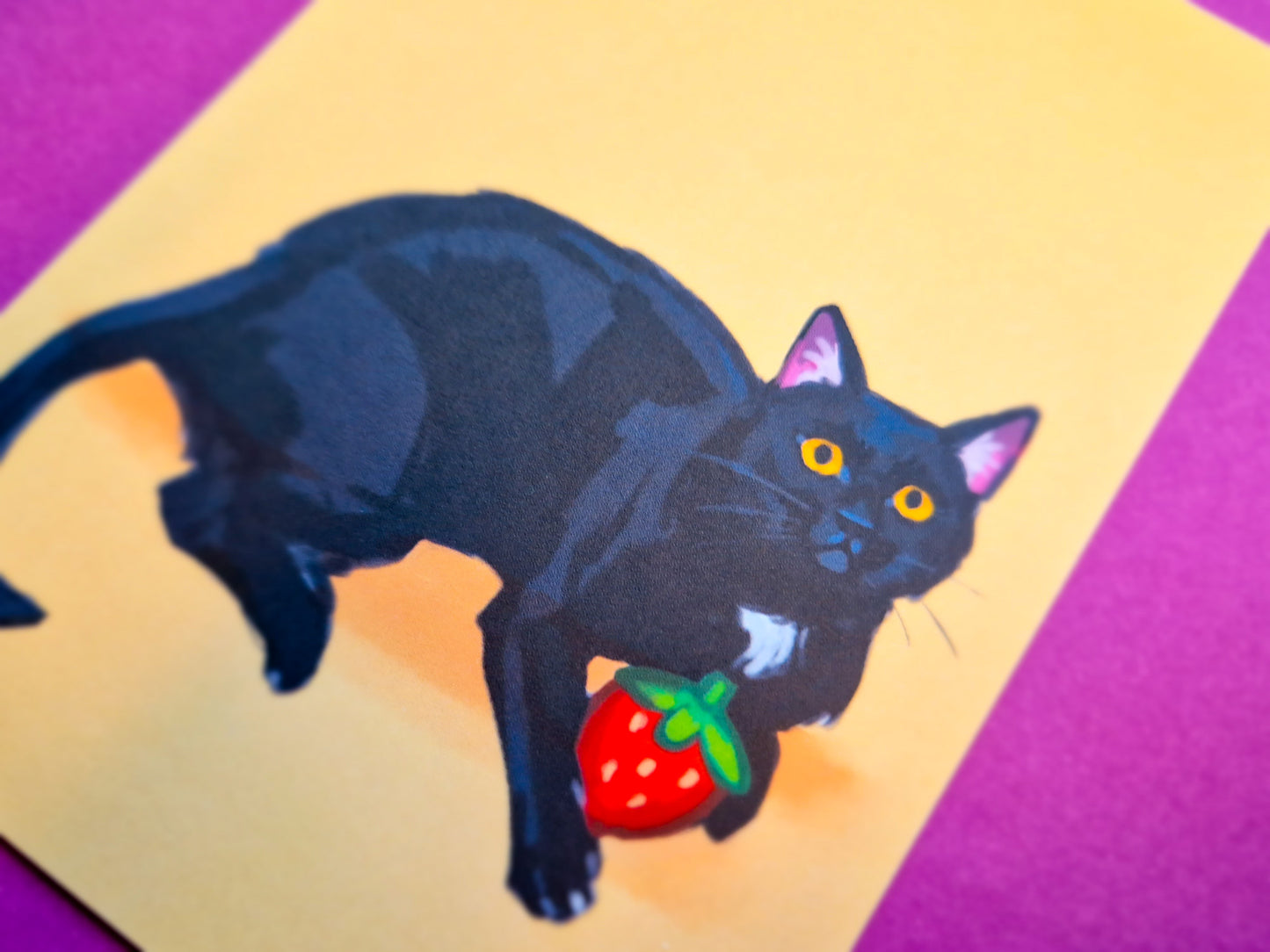 Black Cat Art Prints - Small