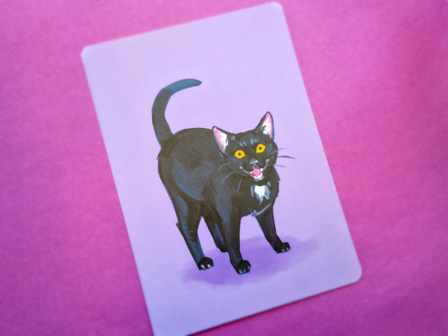 Black Cat Art Prints - Small