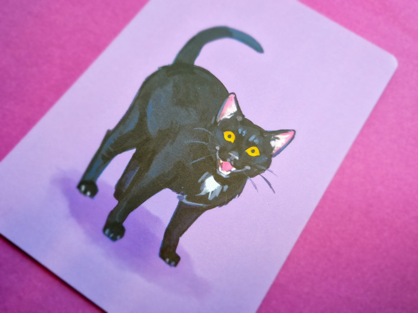 Black Cat Art Prints - Small