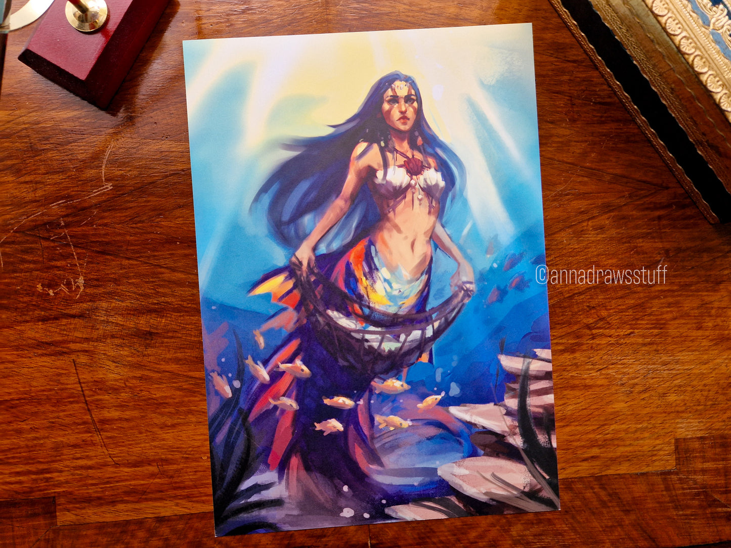 Shell Collector Art Print - A4 (Letter) or A6 (postcard) size