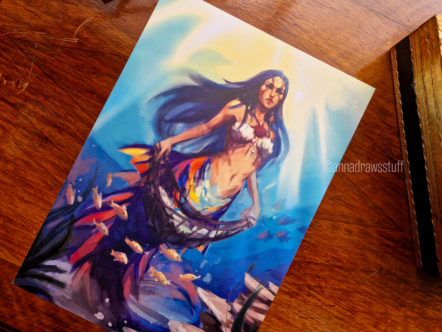 Shell Collector Art Print - A4 (Letter) or A6 (postcard) size